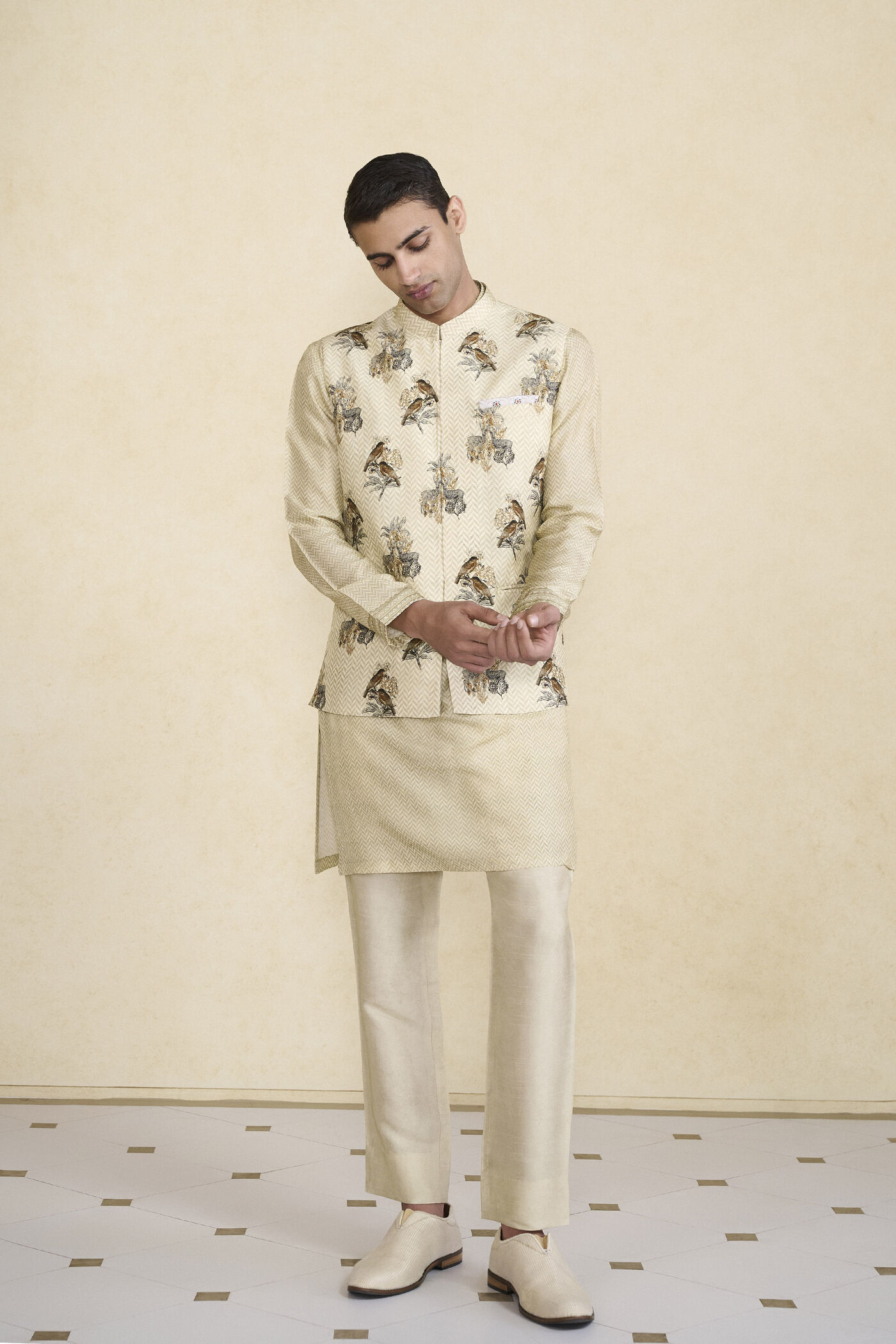 Krushan Printed Nehru Jacket - Beige