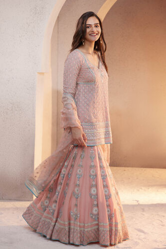 Ashreen Aari Embroidered Suit Set - Blush, Blush, image 2