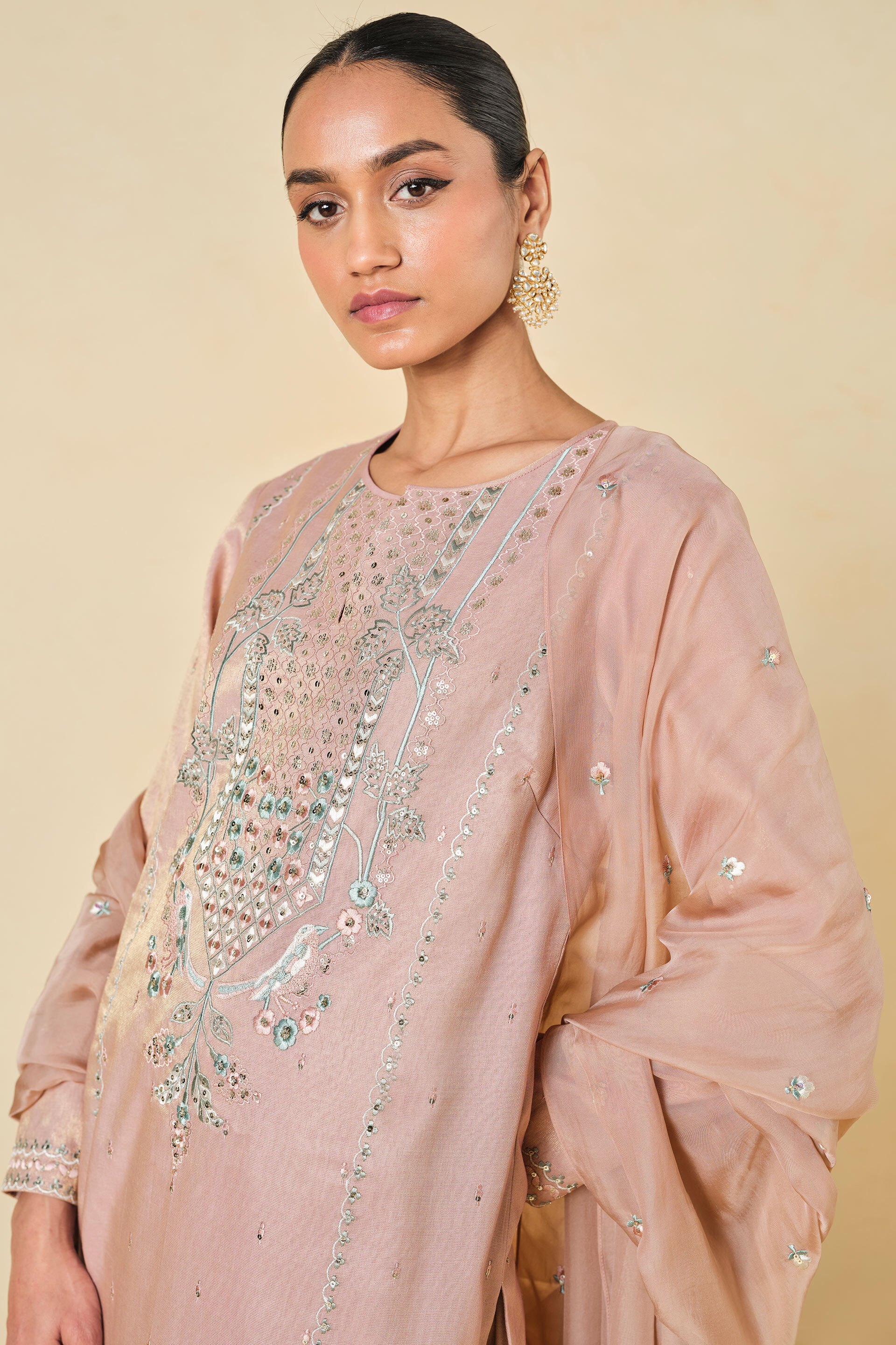 Ambudhi Embroidered Suit Set - Blush, Blush, image 4