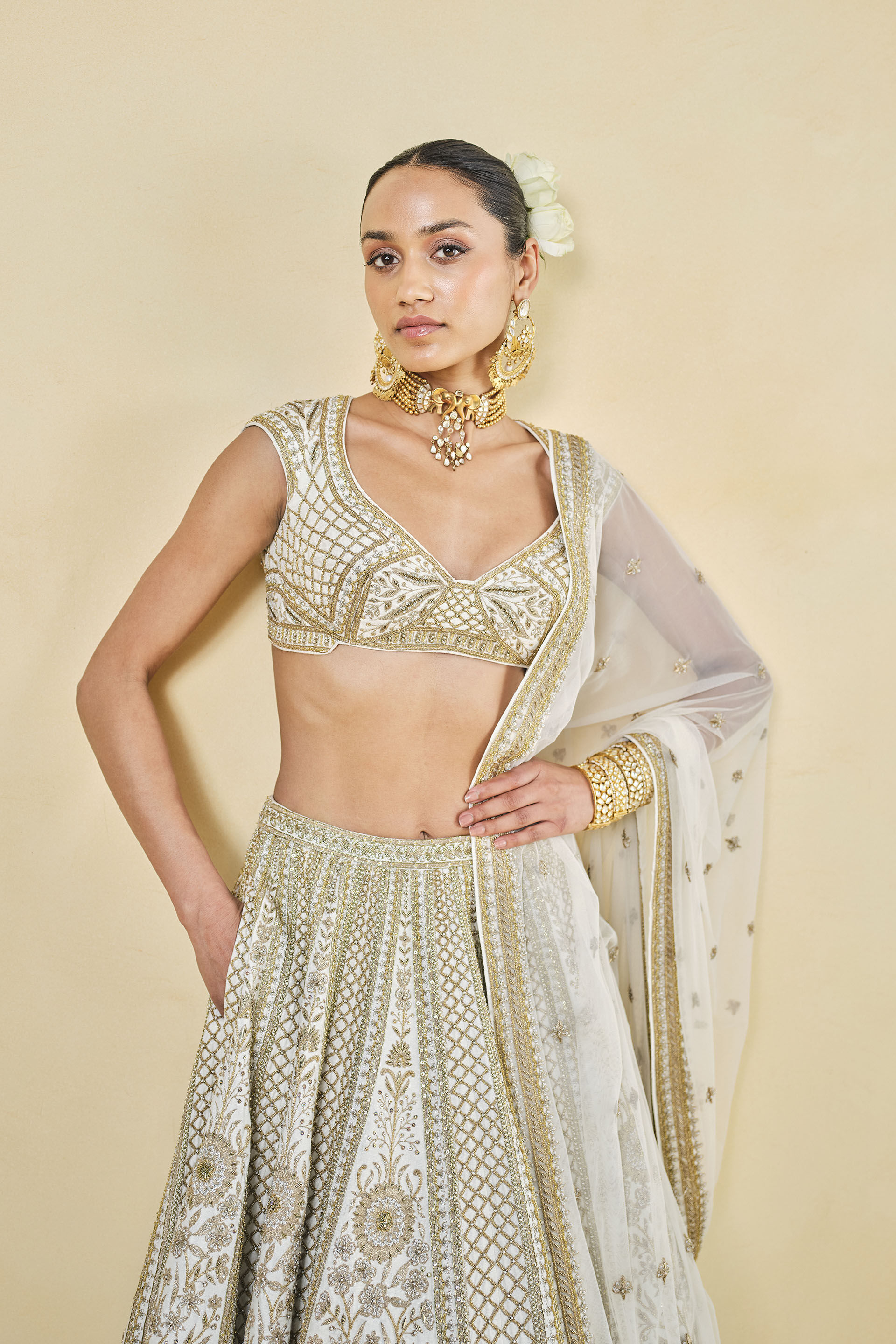 Anita dongre lehenga designs shop
