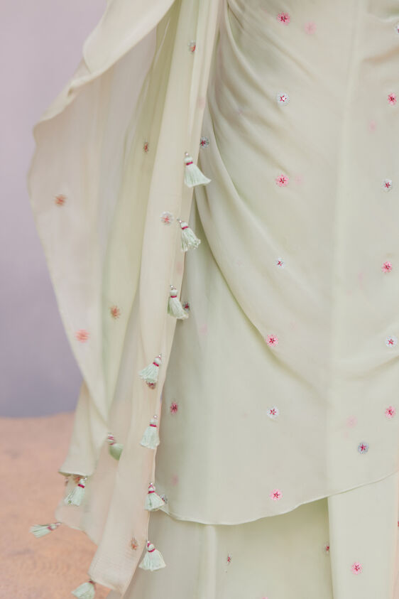 Asterope Saree, Pista, image 7