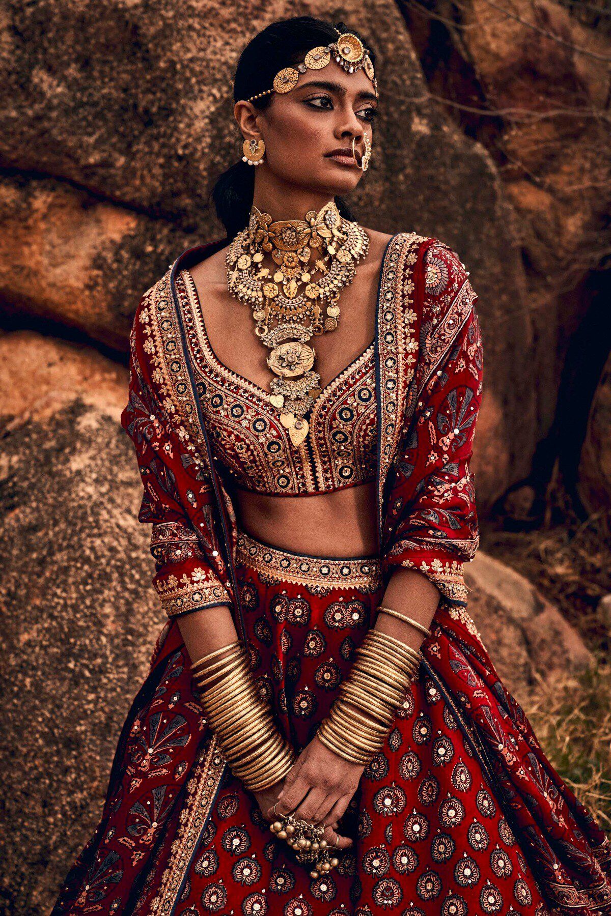 Anita dongre lehenga choli hotsell