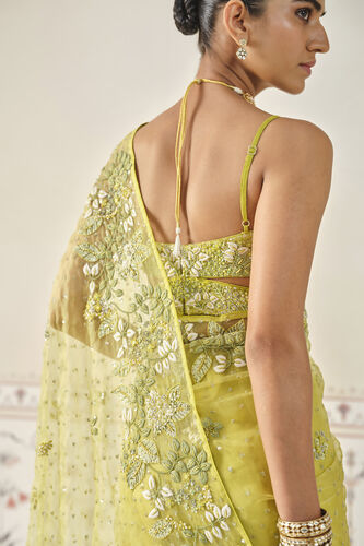 Mrigakshi Embroidered Saree Set - Lime, Lime, image 9