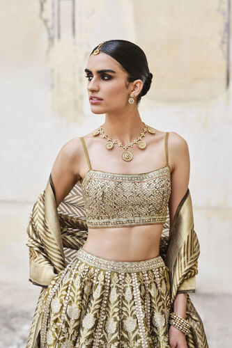 Adveka Handwoven Benarasi Silk Lehenga Set - Olive, Olive, image 6