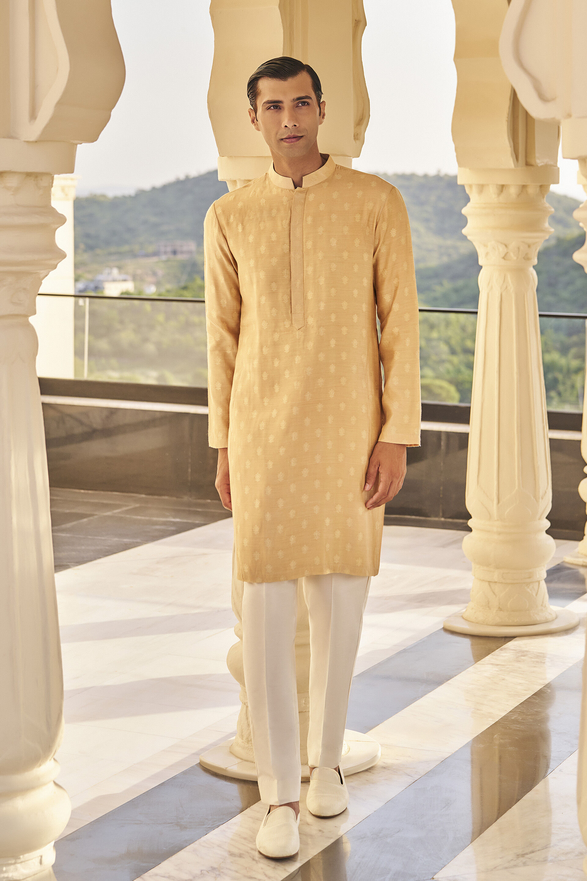 Dildar Kurta in Beige Benarasi