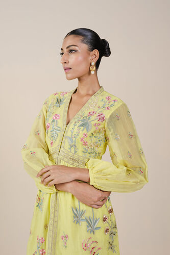 Rhapsody Embroidered Mul Dress, Yellow, image 4