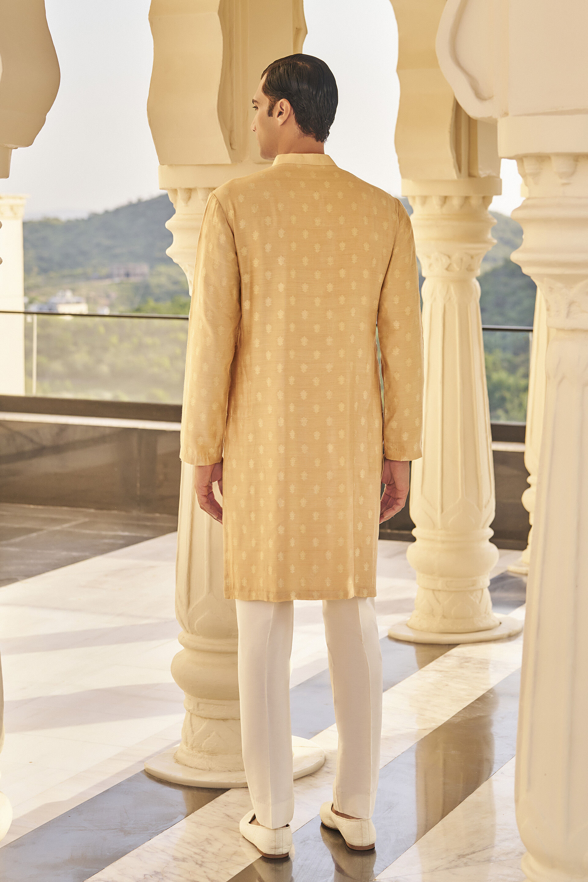 Dildar Kurta in Beige Benarasi
