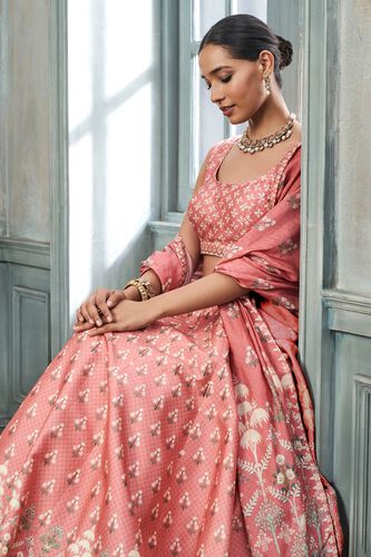 4 - Sauras Lehenga Set - Blush, image 4