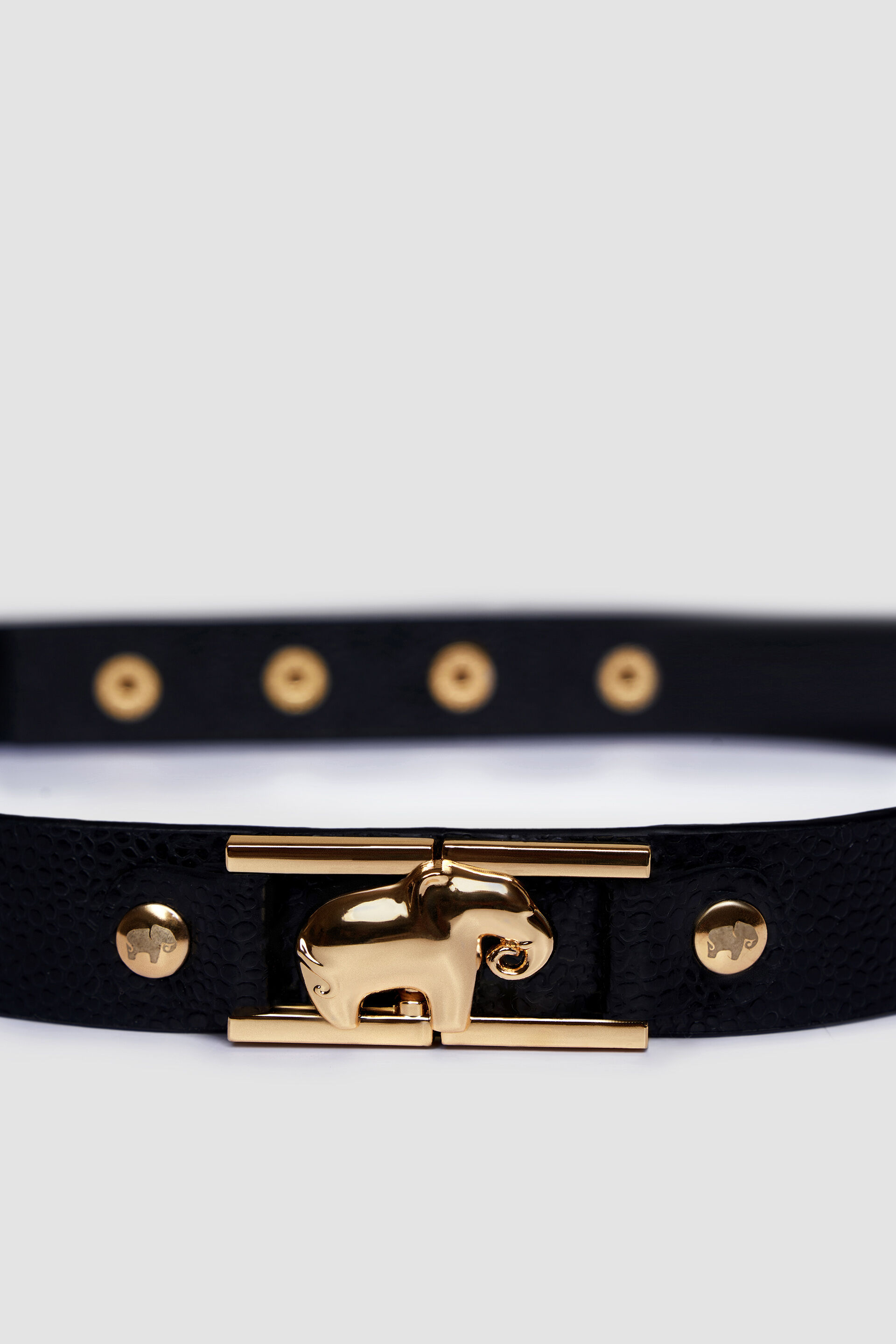 The Haathi Belt - Nocturnal Black, Black, image 5