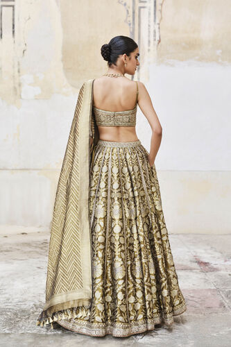 Adveka Handwoven Benarasi Silk Lehenga Set - Olive, Olive, image 5