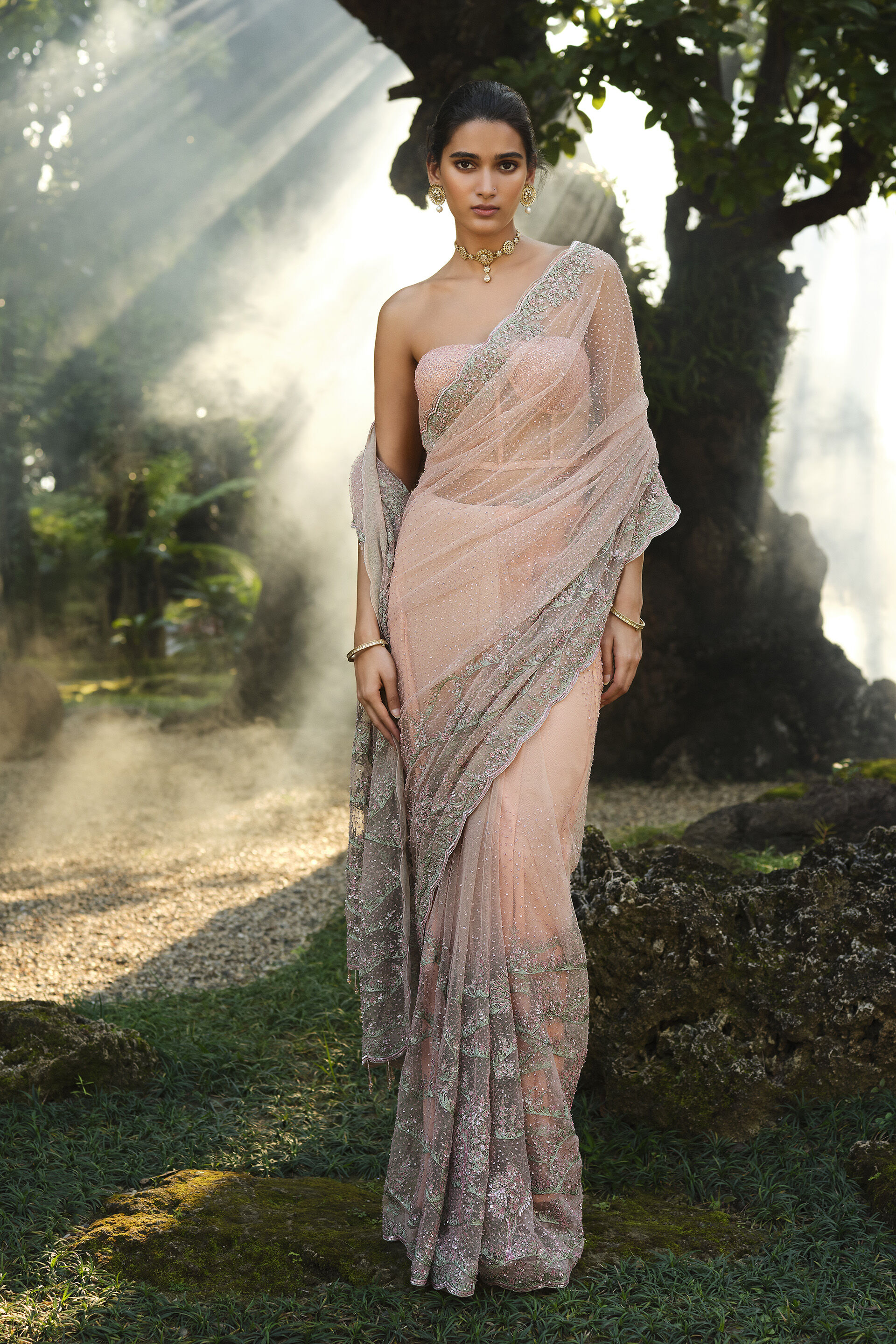Roseway Embroidered Saree - Blush, Multi Color, image 1