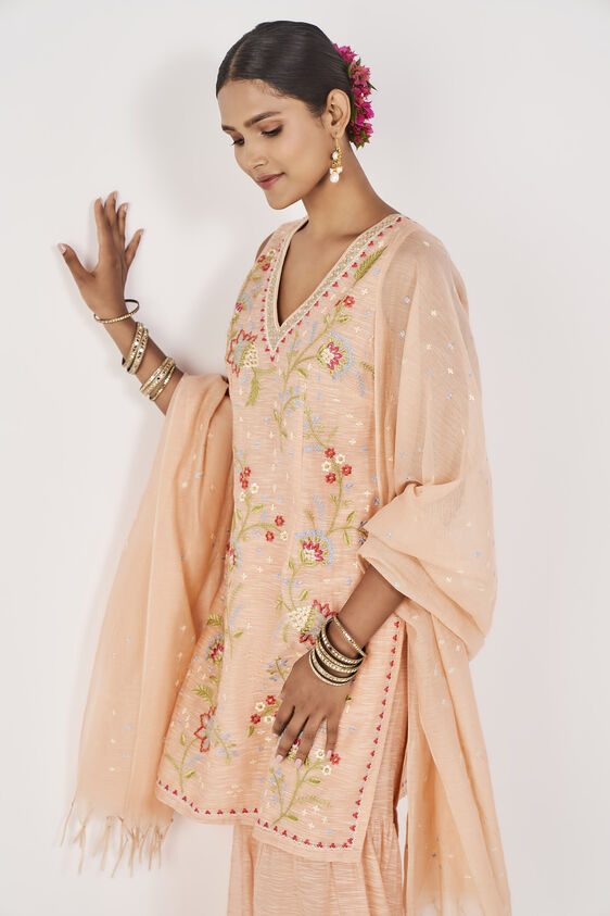 Anya Gharara Set, Blush, image 4