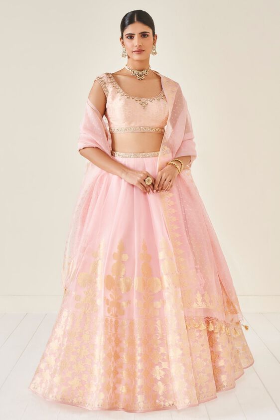 1 - Amari Lehenga Set - Blush, image 1