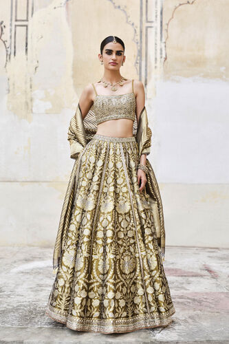 Adveka Handwoven Benarasi Silk Lehenga Set - Olive, Olive, image 1