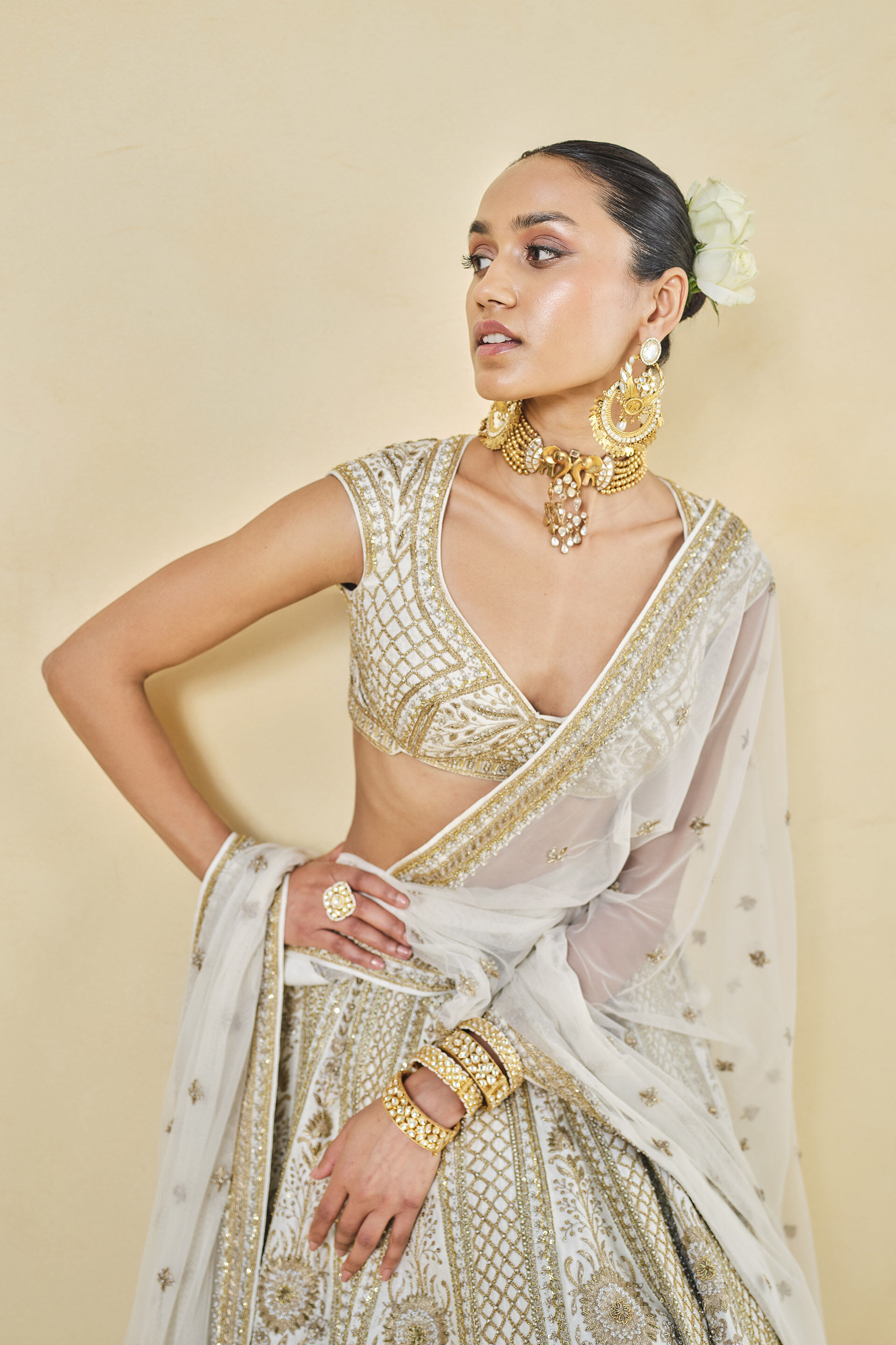 Mahroo Zardozi Embroidered Silk Lehenga Set - White, Ivory, image 6