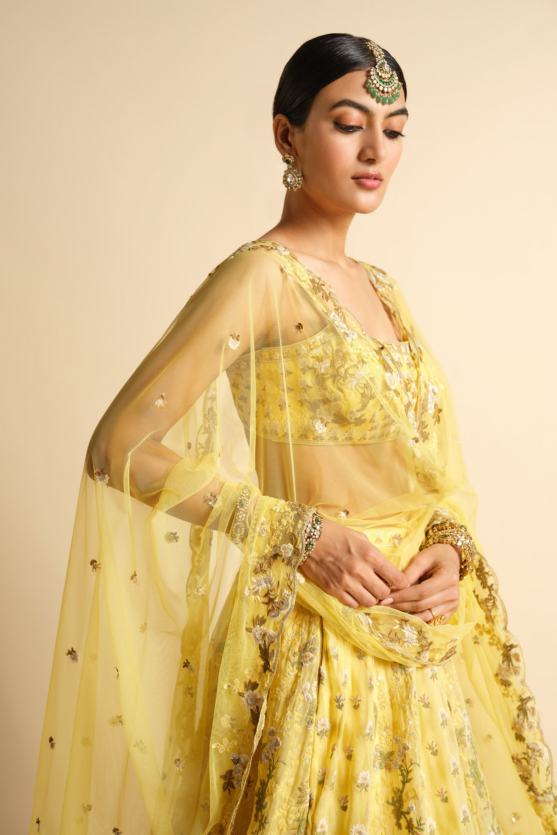 Syona Embroidered Lehenga Set - Yellow, Yellow, image 5