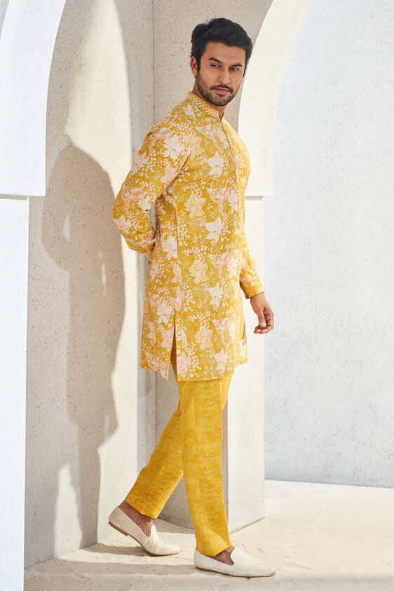 Malhar Kurta - Mustard, Mustard, image 2