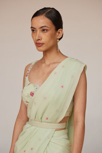 Asterope Saree, Pista, image 4
