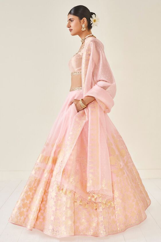 2 - Amari Lehenga Set - Blush, image 2