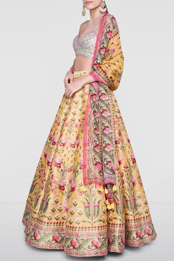 4 - Nirvi Lehenga , image 4