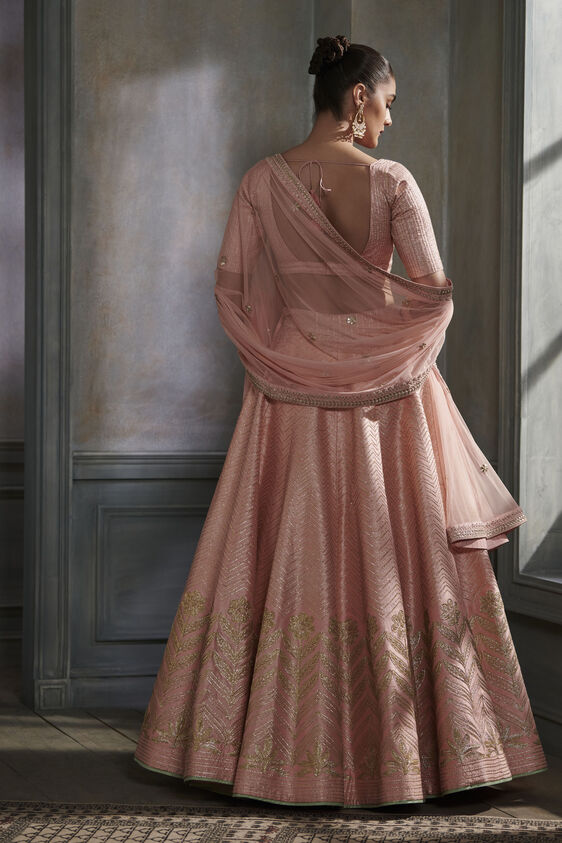 Lasaki Lehenga Set – Red, Blush, image 2