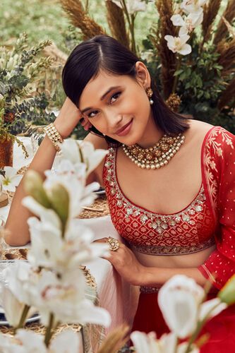 3 - Amari Lehenga, image 3