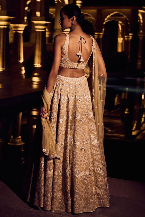 Pranayi Lehenga, Nude, image 2