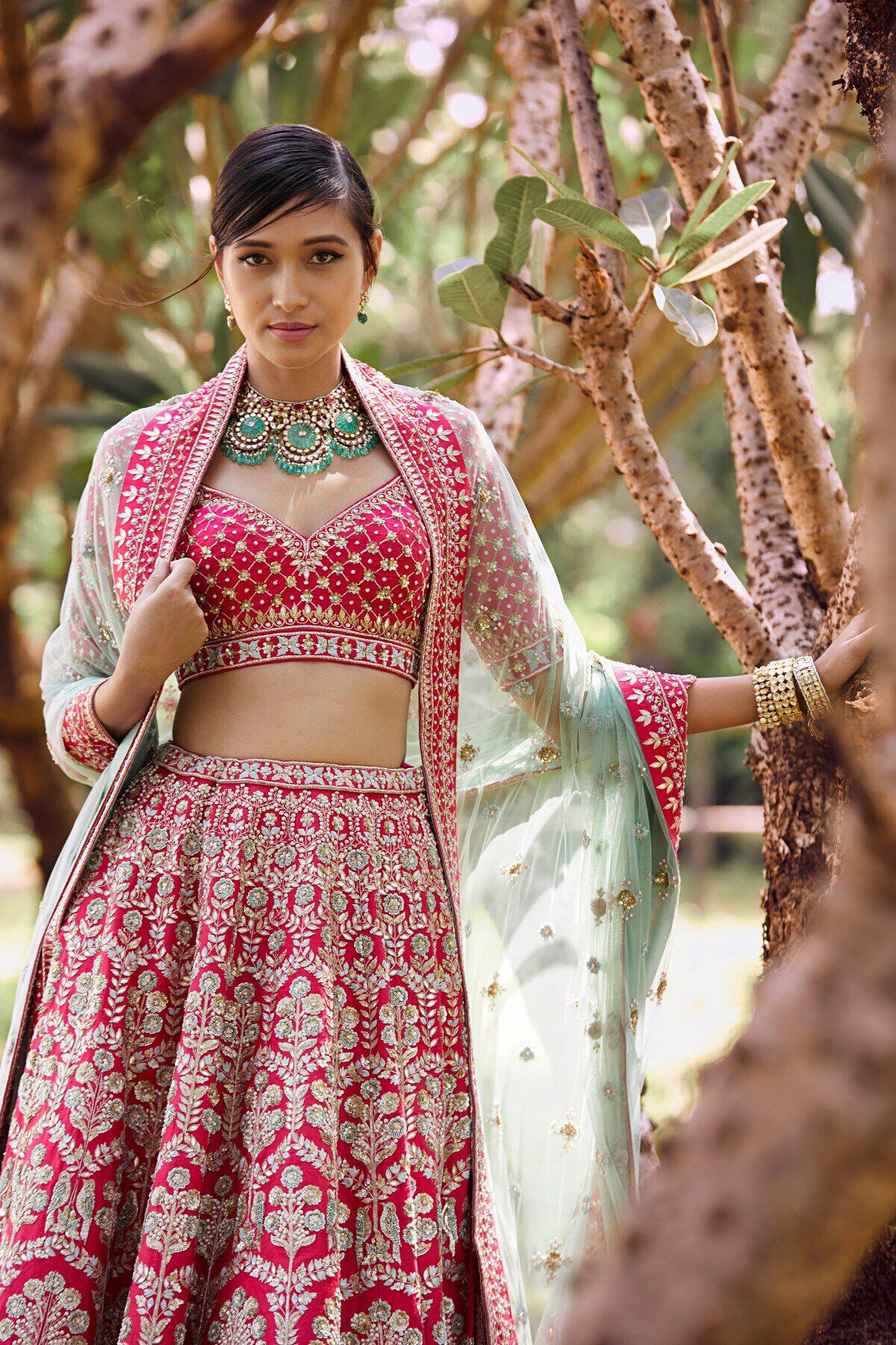 Anita dongre lehenga choli cheap