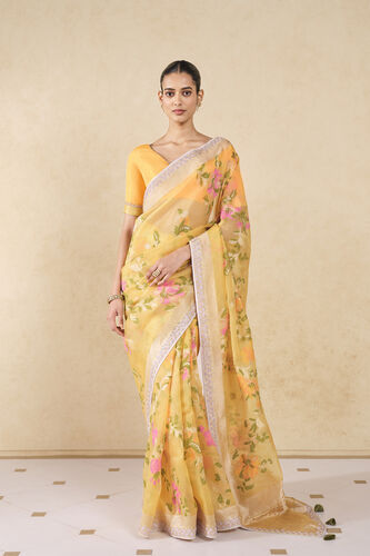 Siyam Handwoven Benarasi Silk Saree, Yellow, image 1