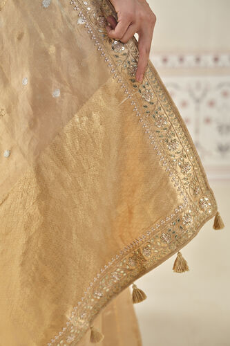 Aryahi Handwoven Benarasi Saree Set - Gold, Gold, image 7