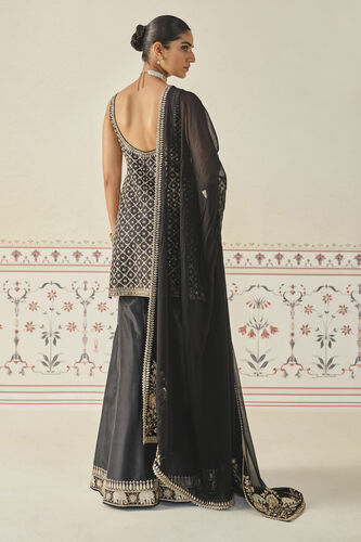 Rayna Gota Patti Silk Sharara Set - Black, Black, image 2