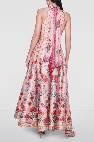 3 - Prakriti Skirt Set, image 3