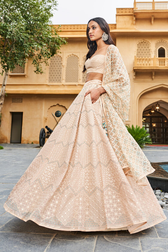 Aadhya Lehenga, Beige, image 2