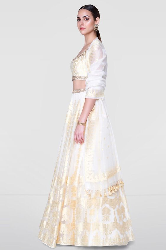 4 - Alethi Lehenga, image 4