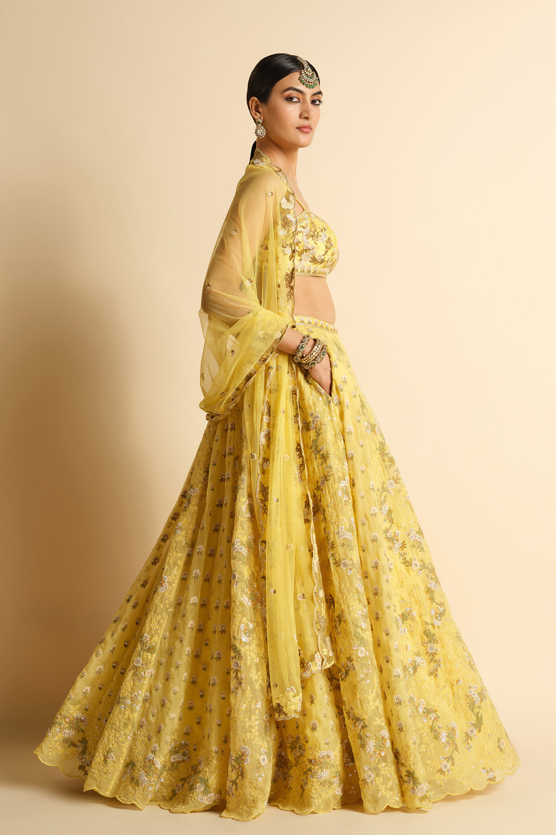 Syona Embroidered Lehenga Set - Yellow, Yellow, image 3
