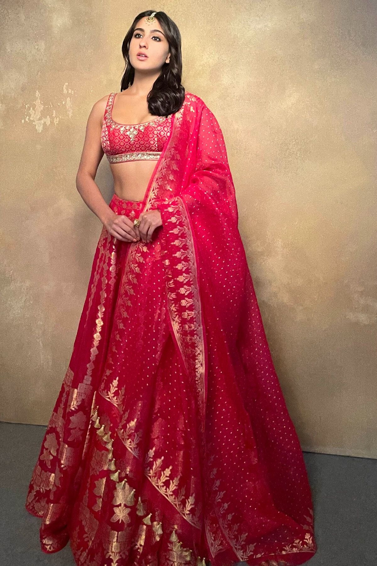 1 - Alethi Lehenga, image 1