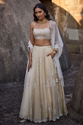 3 - Autumn Leaves Lehenga – Nude, image 3